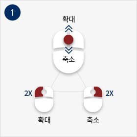 Zoom 버튼